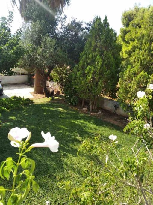 Cozy Lagonisi Ferienhaus Kalivia Thorikou